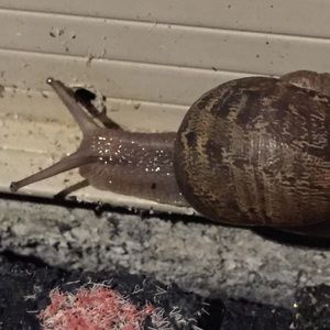 Meet your Posher, Tim